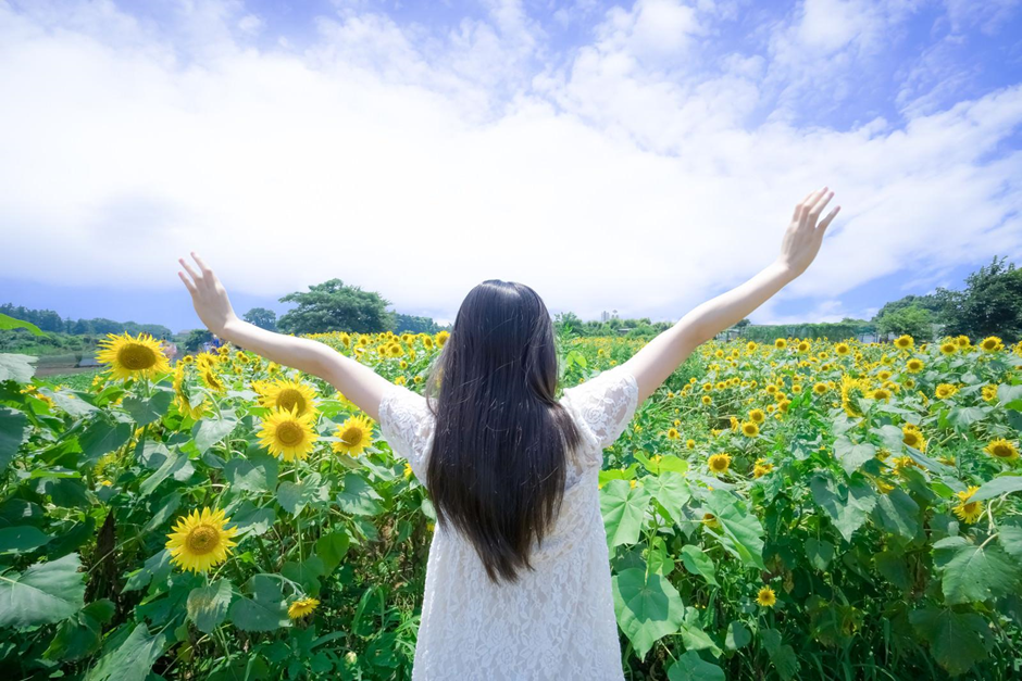 向日葵畑に向かって両手を挙げている女性の後ろ姿